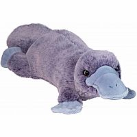 Allie Platypus Softie