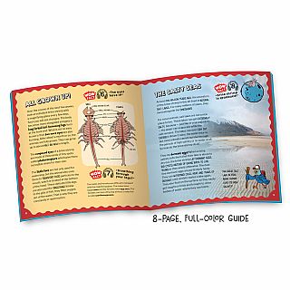 Wow in the World: Sea Creatures Aquarium