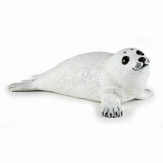 Baby Seal