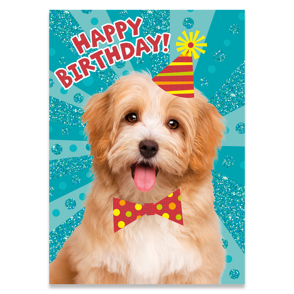 Printable Birthday Cards For Dogs Printable World Holiday