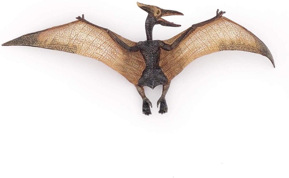 pterodactilo pteranodon
