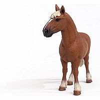 Horse Belgian Draft 