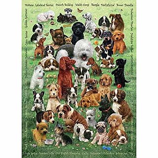 Puppy Love 350 Piece Family Puzzle 
