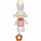Bunny Teether Activity Toy
