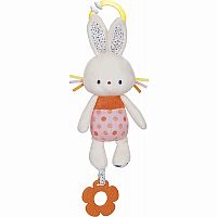 Bunny Teether Activity Toy