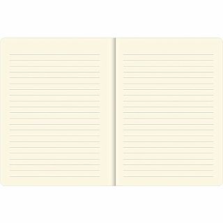 Curious Cat Journal