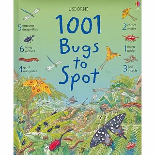 1001 Bugs to Spot 1001 Things to Spot Hardback