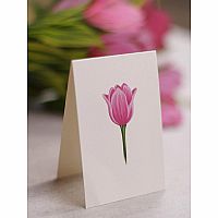 Festive Tulips Popup Card 