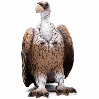 Vulture Figure