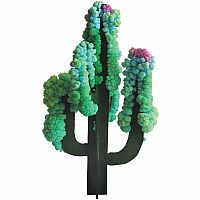 Saguaro Cactus Crystal Growing Kit
