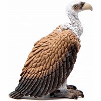 Vulture Figure