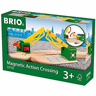 Magnetic Action Crossing 