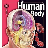Human Body Insiders hardback