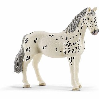 Knabstrupper Mare
