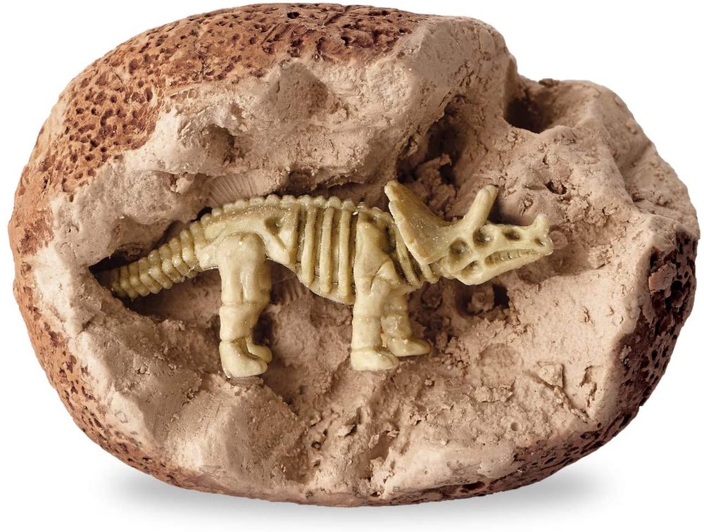 dino skeleton dig