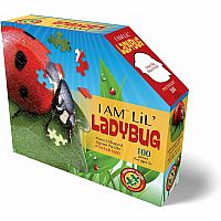 I Am Lil' Ladybug 100