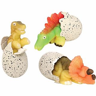 Ginormous Hatchin' Grow Dino Assorted Styles