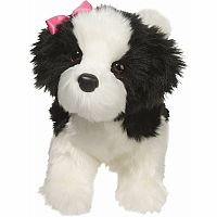Poofy Black & White Shih-Tzu