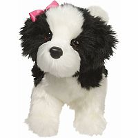 Shih-Tzu Black White Poofy