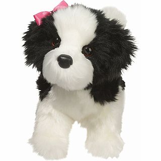 Poofy Black & White Shih-Tzu