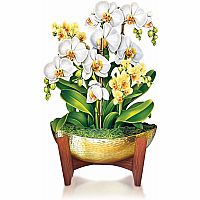 Serenity Orchid Pop Up Card