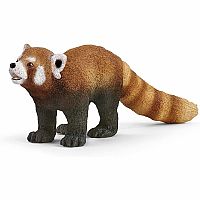 Red Panda