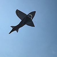 4 Foot 3D Shark Kite 
