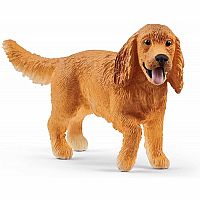 English Cocker Spaniel