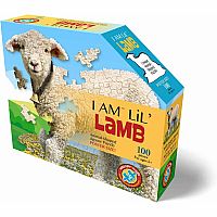 I Am Lil' Lamb 100