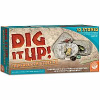 Dig It Up Minerals and Fossils