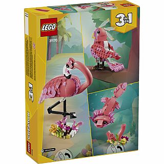 Wild Animals: Pink Flamingo