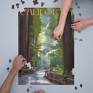 Pathway In The Forest California 1000 Piece Puzzle 