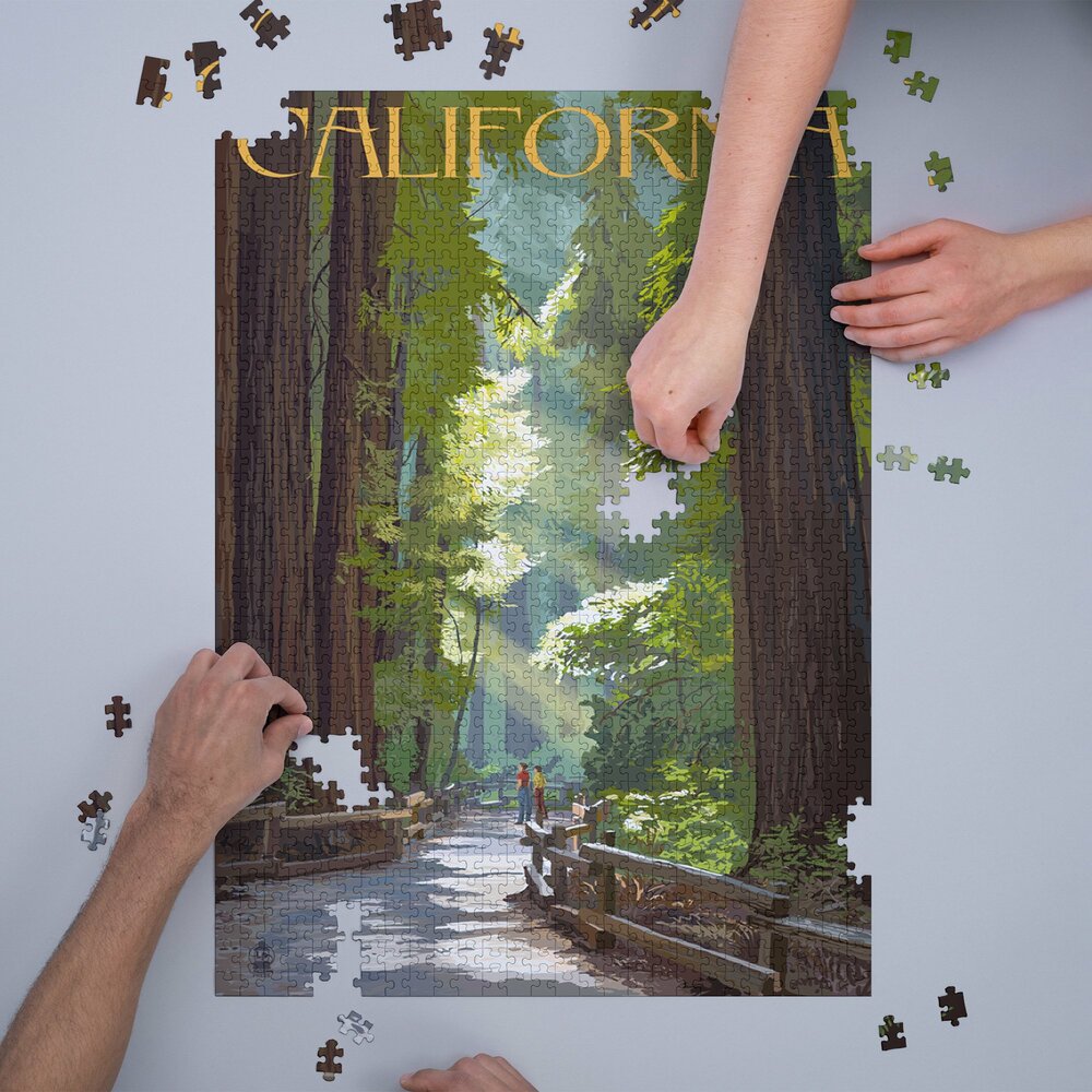 Pathway In The Forest California 1000 Piece Puzzle Grandrabbit's Toys