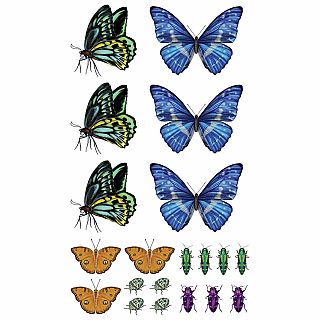 PB Temporary Tattoos: Butterflies 