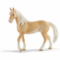 Akhal-Teke Stallion
