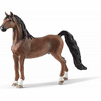 American Saddlebred Gelding