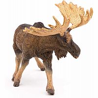 Moose