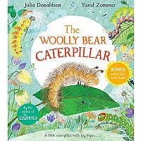 The Woolly Bear Caterpillar