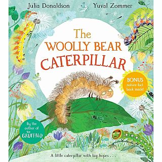 The Woolly Bear Caterpillar