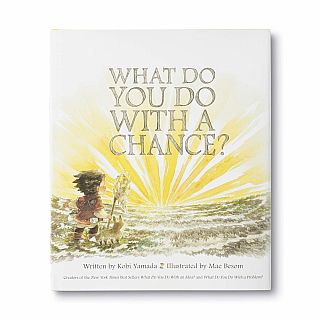 What Do You Do With A Chance? Hardback 