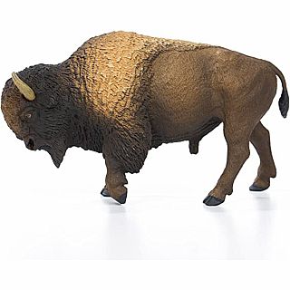 Bison 