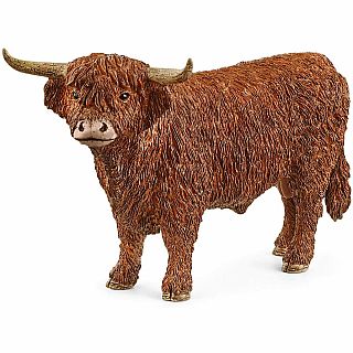 Highland Bull