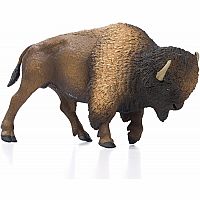 Bison