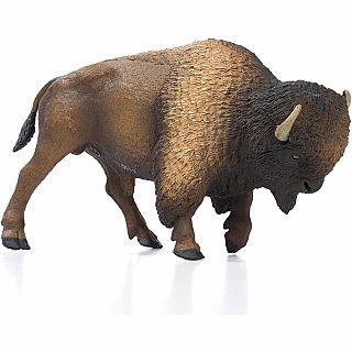 Bison