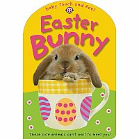 BB Baby Touch and Feel Easter Bunny