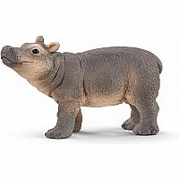 Baby Hippopotamus