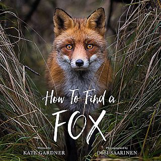 HB How To Find A Fox