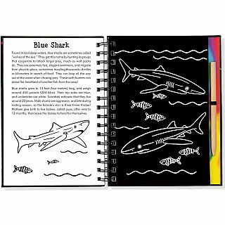 Scratch & Sketch Sharks (Trace Along)