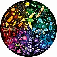Circle of Colors - Insects