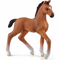 Horse Foal Oldenburg